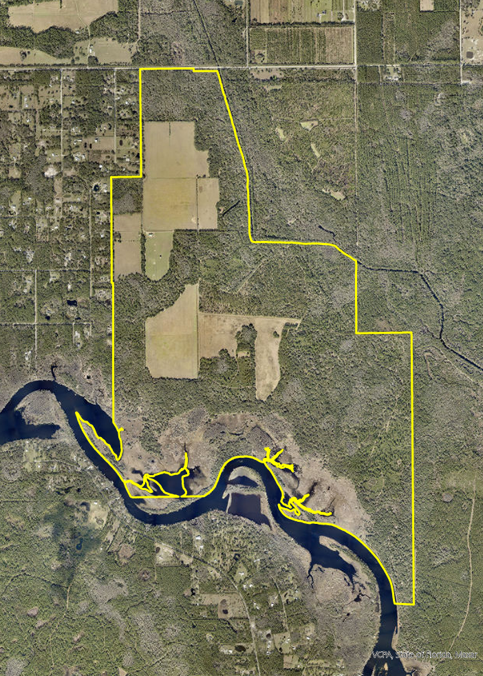 Volusia could spend $20M to preserve 1,300 acres in Osteen