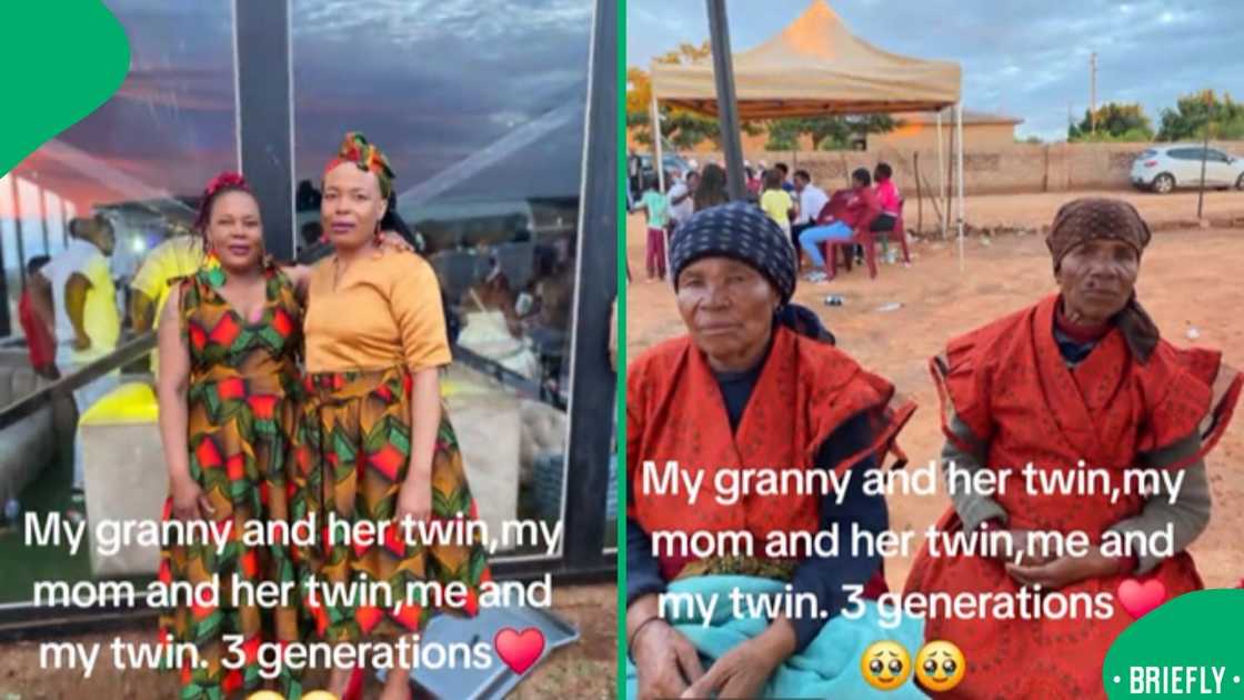 Limpopo family amazed Mzansi after revealing three generations had all ...