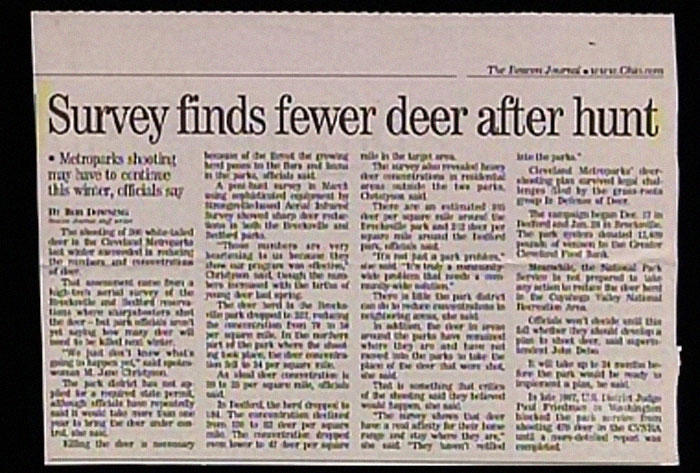 30 horrible newspaper headlines to make you facepalm at the stupidity