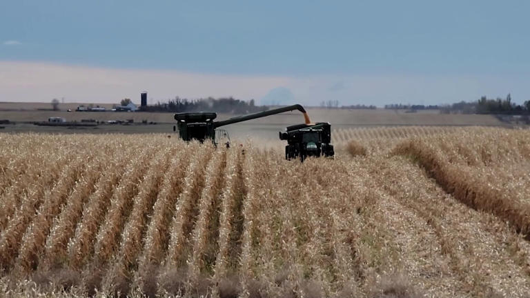 Farm bill passes in US House