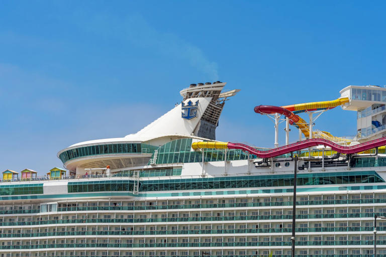Royal Caribbean faces backlash for failing to disclose attraction