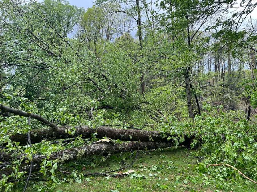 NWS: EF-1 tornado with winds of 110 mph slam Fayette County Wednesday