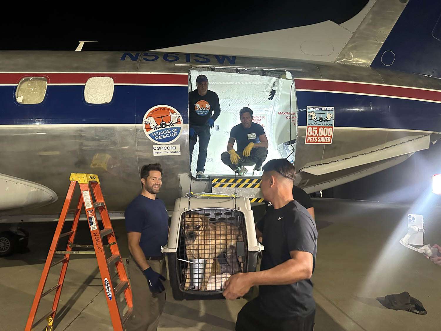 Over 100 adoptable pets airlifted out of Los Angeles to Chicago amid ...