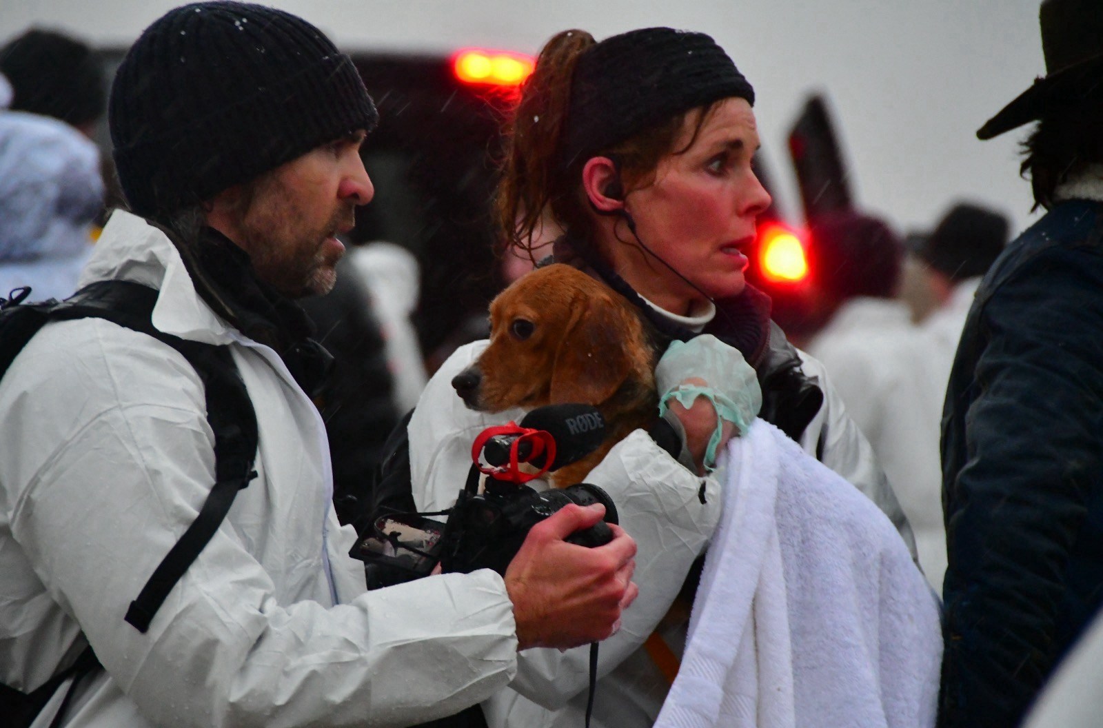 The battle over rescuing 2,000 beagles from lab research is not over