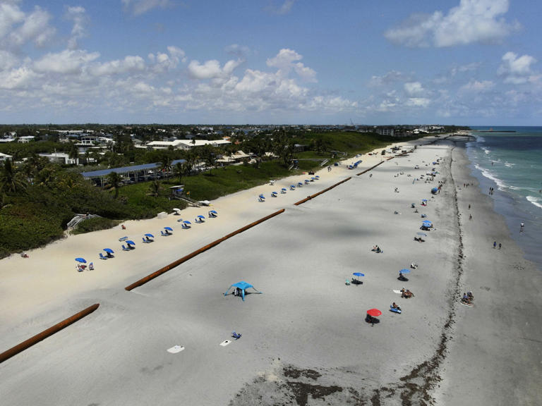 Popular Palm Beach County beach is finally wide enough for everyone