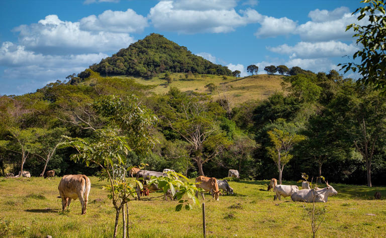 Paraguay’s new golden visa is a $150,000 fast track to permanent residency