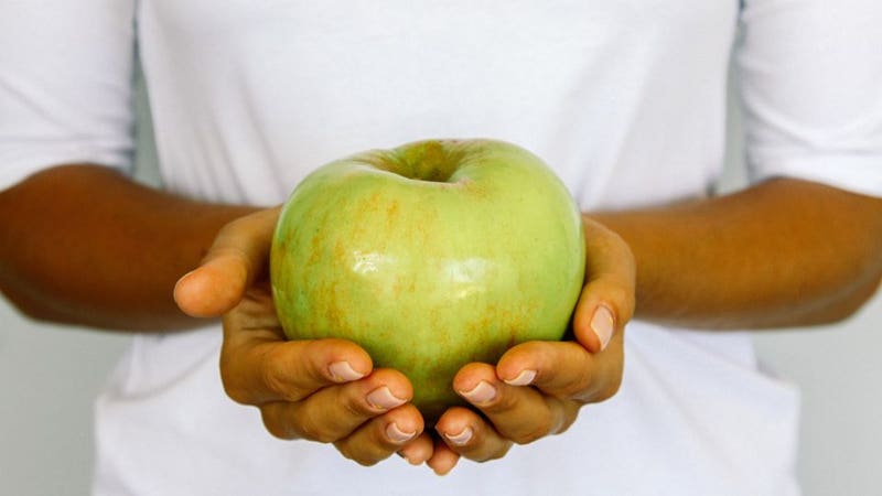 Can dogs eat apples? How to safely treat your dog to fruit