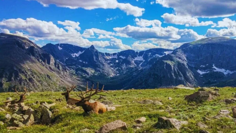 Descubren miles de especies desconocidas y cambia todo lo que se sabía ...