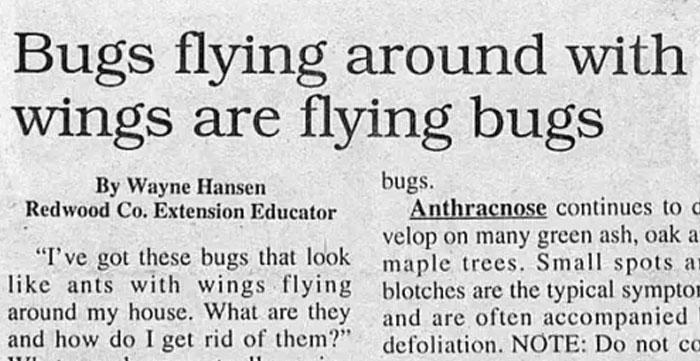 30 horrible newspaper headlines to make you facepalm at the stupidity
