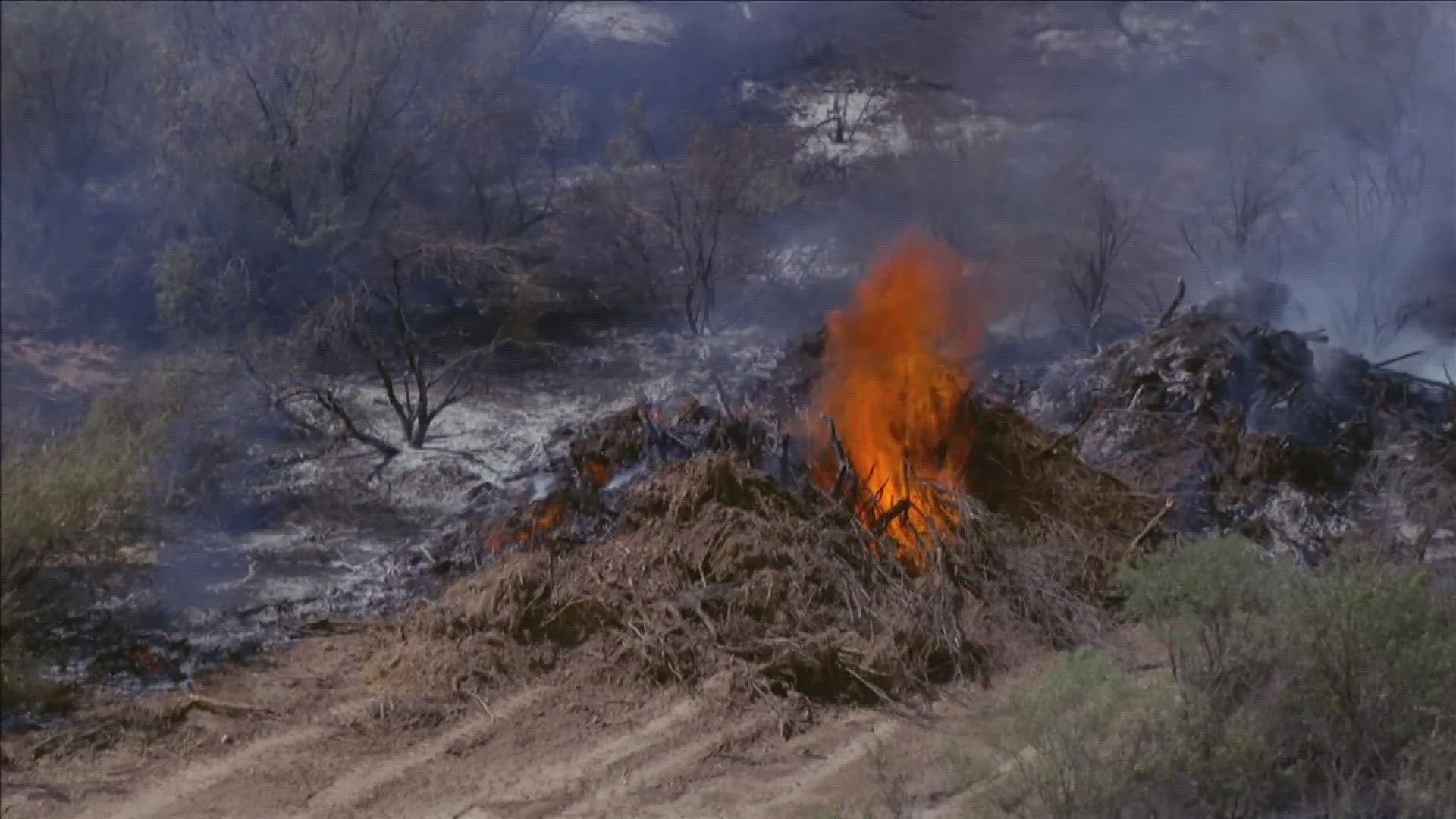 Car crash in West Valley sparks brush fire, police say