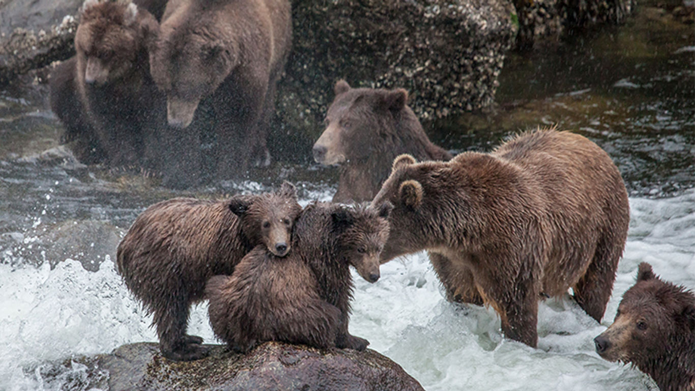 Best time to cruise Alaska: The case for late summer and fall