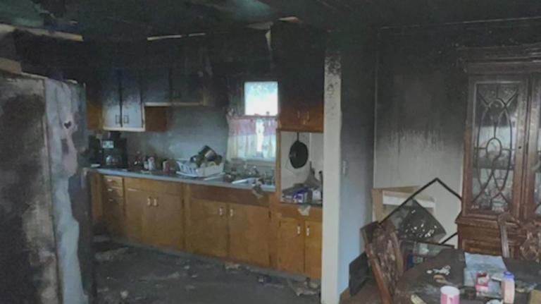 27 cats, dog killed in 1 of 4 Lorain house fires within 24 hours: Officials