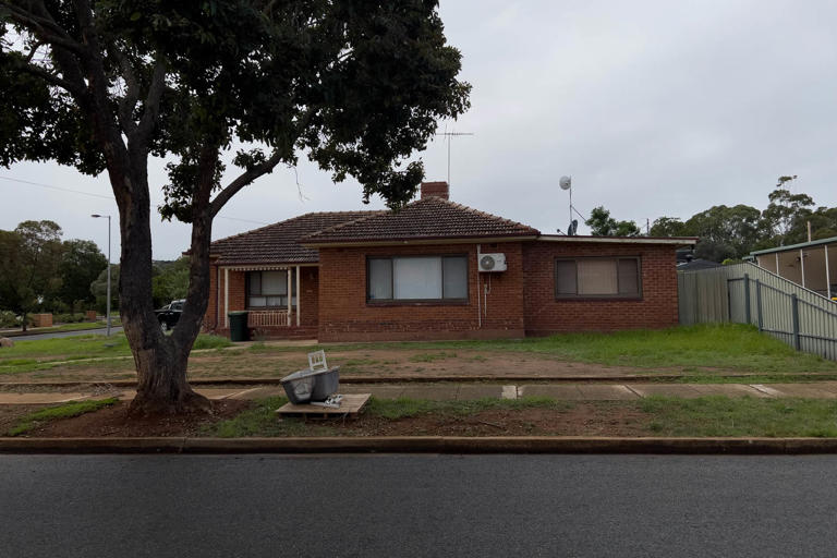 Aussie couple forced to redesign property over tree rule: 'Council ...