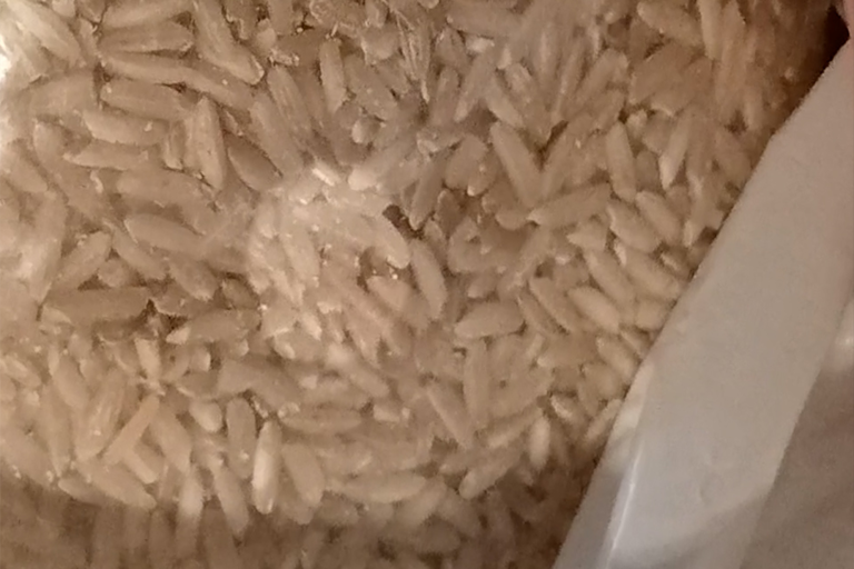SF woman finds insects inside rice bags from Amazon: 'There were things ...