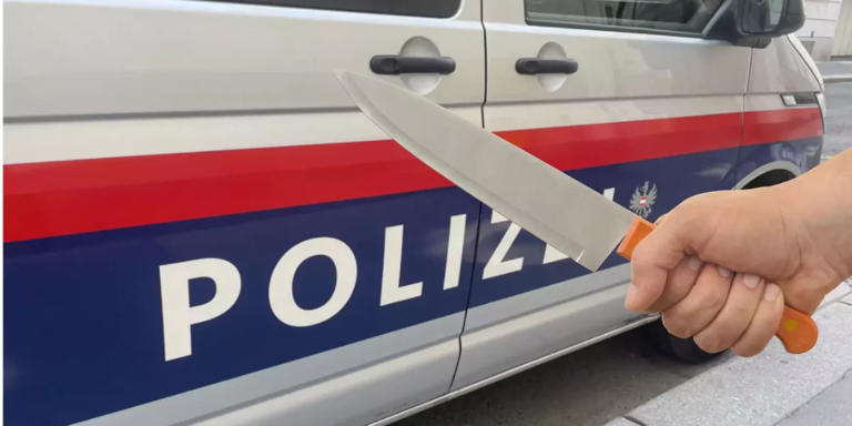 Wien: 14-Jährige bedroht Taxilenker mit Messer