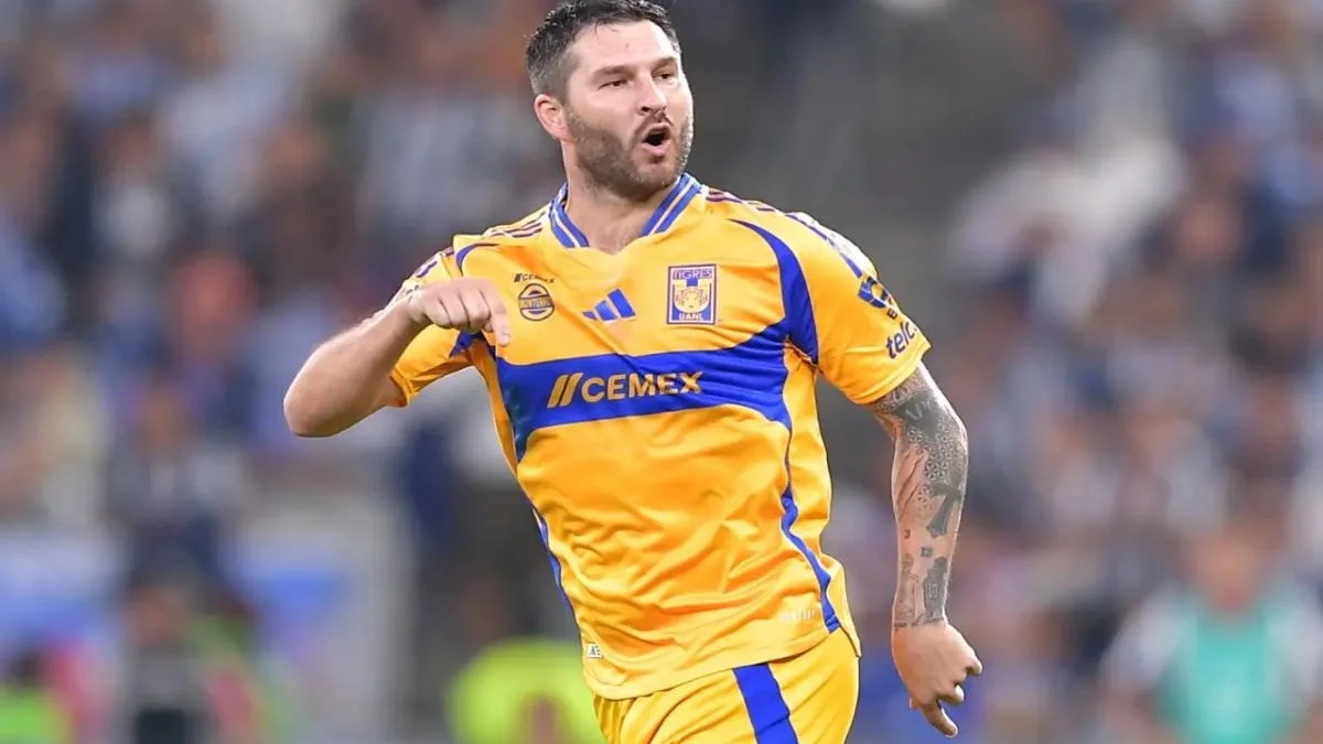 andre gignac net worth - Ilustrasi 2