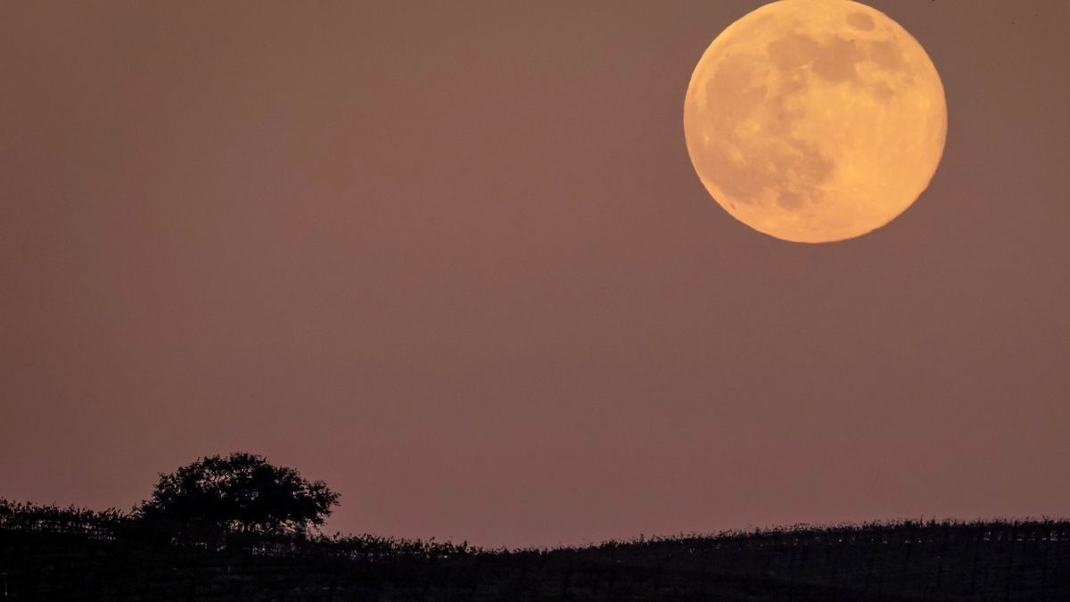 What is May Flower Full Moon 2026? Know date, time and how to watch in ...