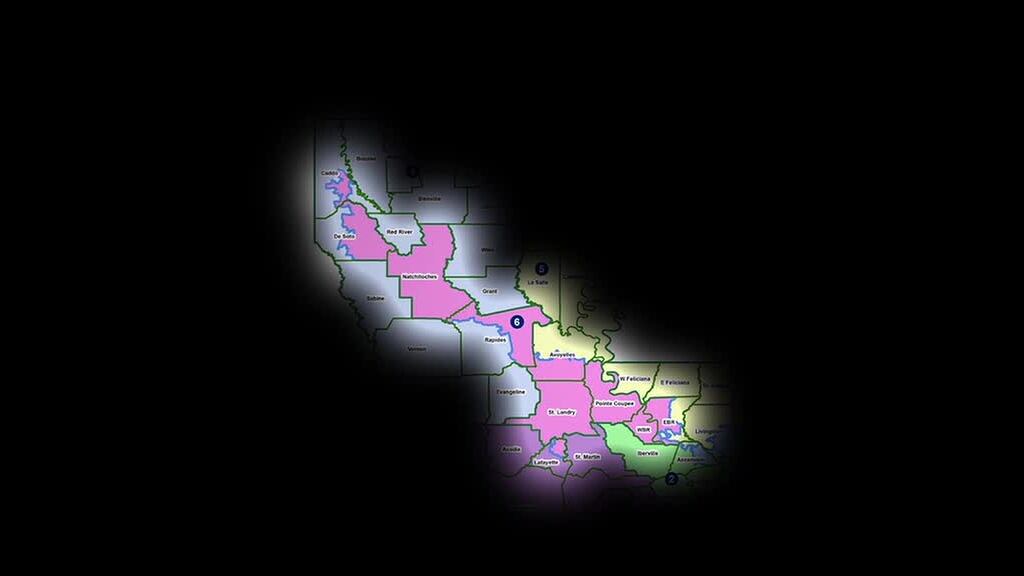 Louisiana congressional primaries suspended as a result of Supreme ...