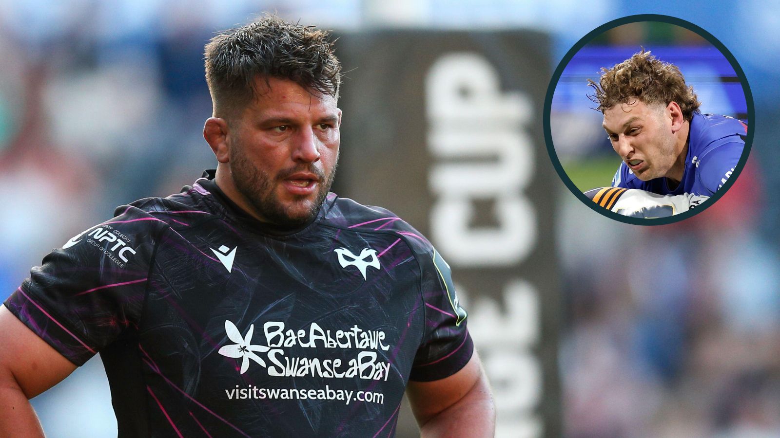 Rugby transfers: Scottish southern hemisphere raid continues, South ...
