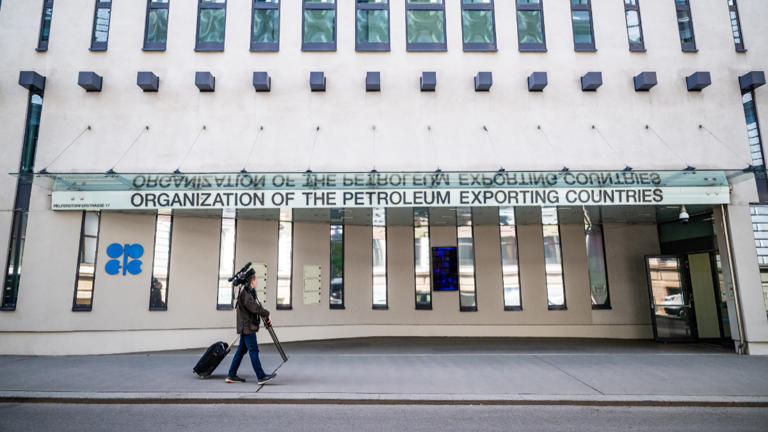 Africa's oil giant faces revenue threat as UAE pulls out of OPEC