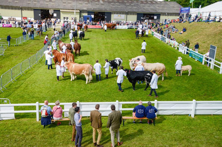 Royal Cornwall Show returns this June with strongest programme yet