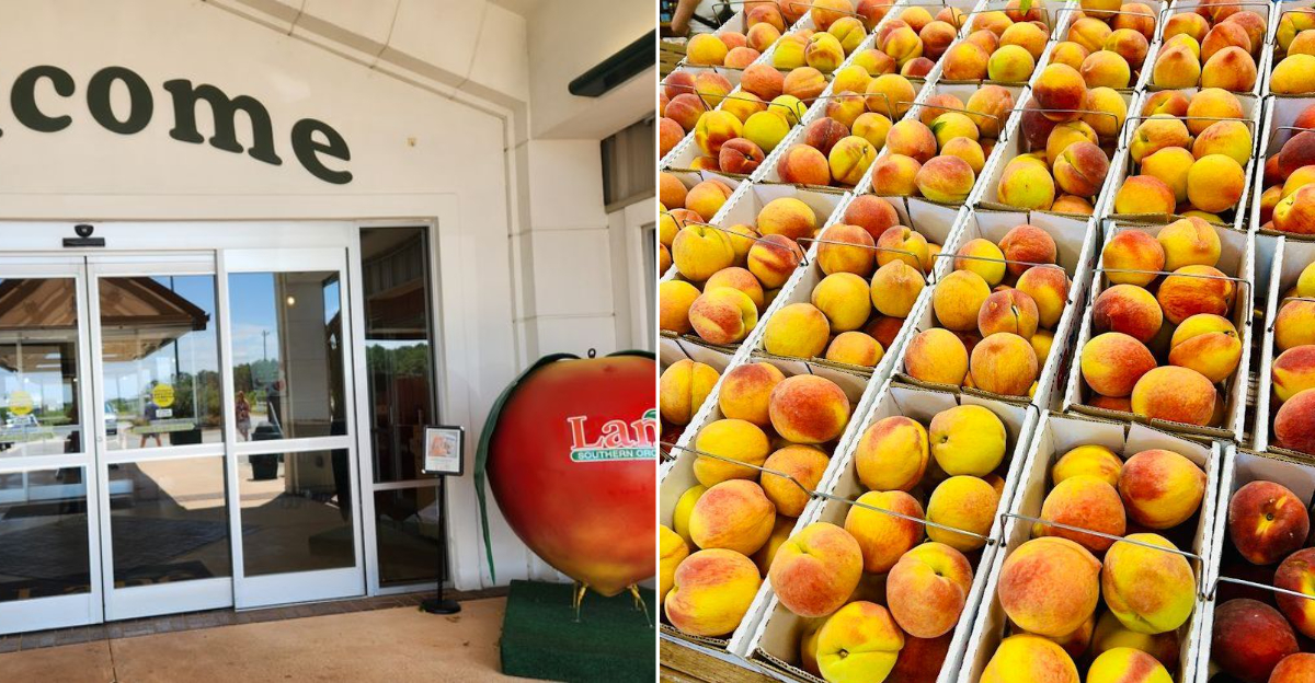 The best fresh peach cobbler in Georgia that locals can’t stop raving about