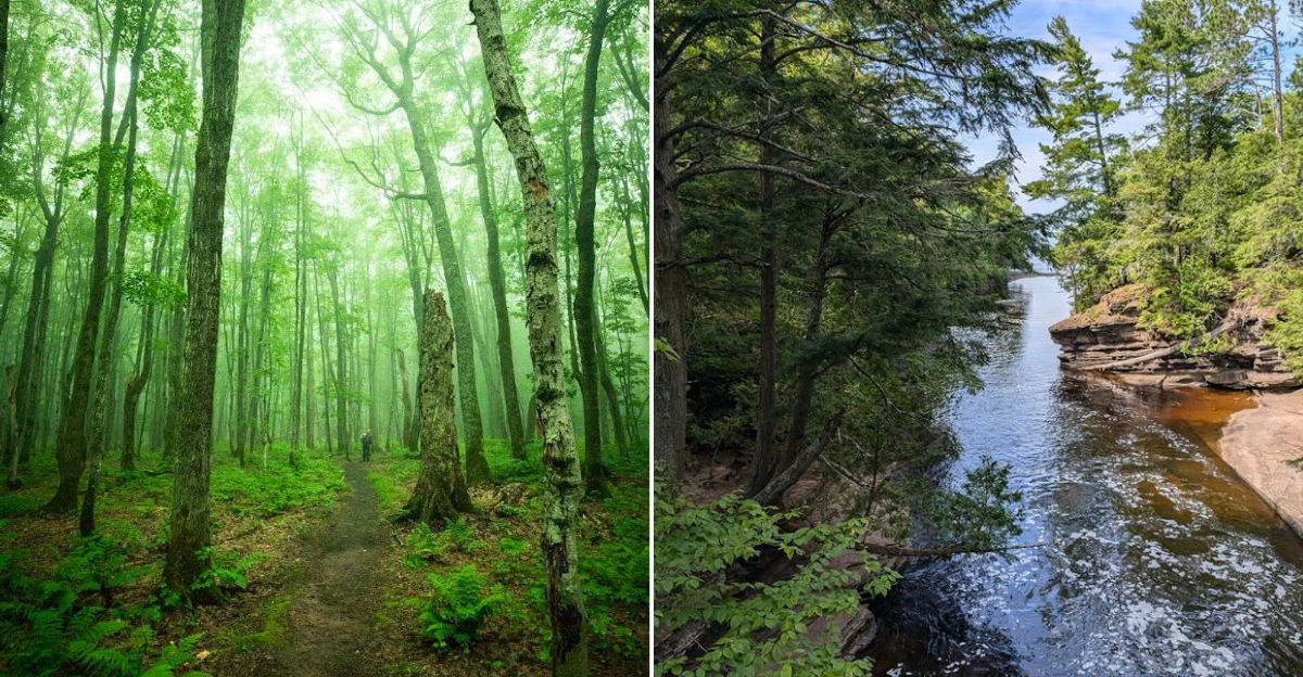This Michigan state park hides quiet trails, remote campsites, and ...