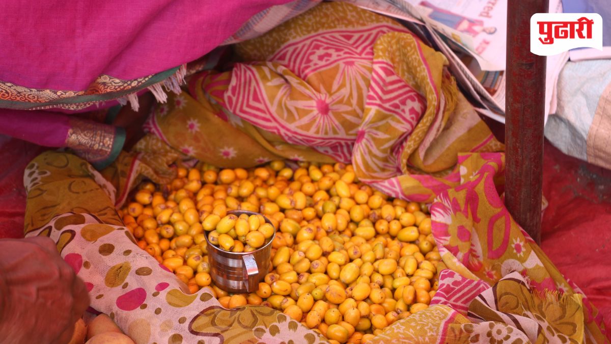 Ranmeva demand rises: नैसर्गिकरित्या पिकलेला ऊन्हाळी रानमेवा ठरतोय ...