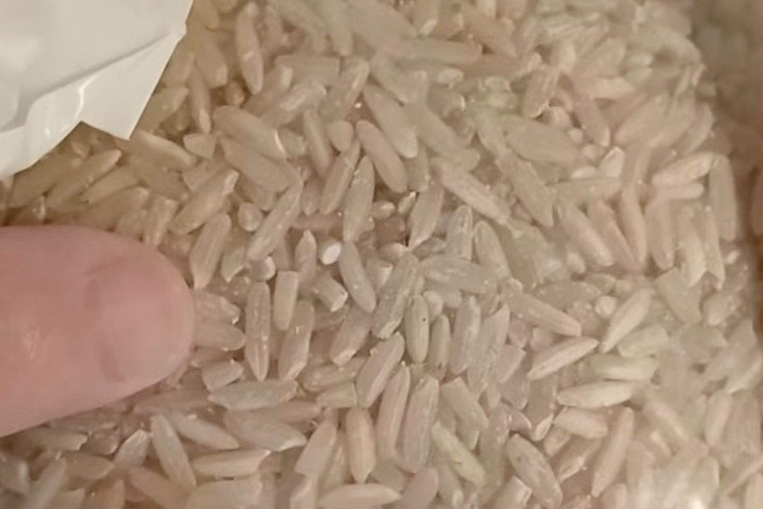 Calif. woman says she found insects in 'disgusting' rice ordered from ...