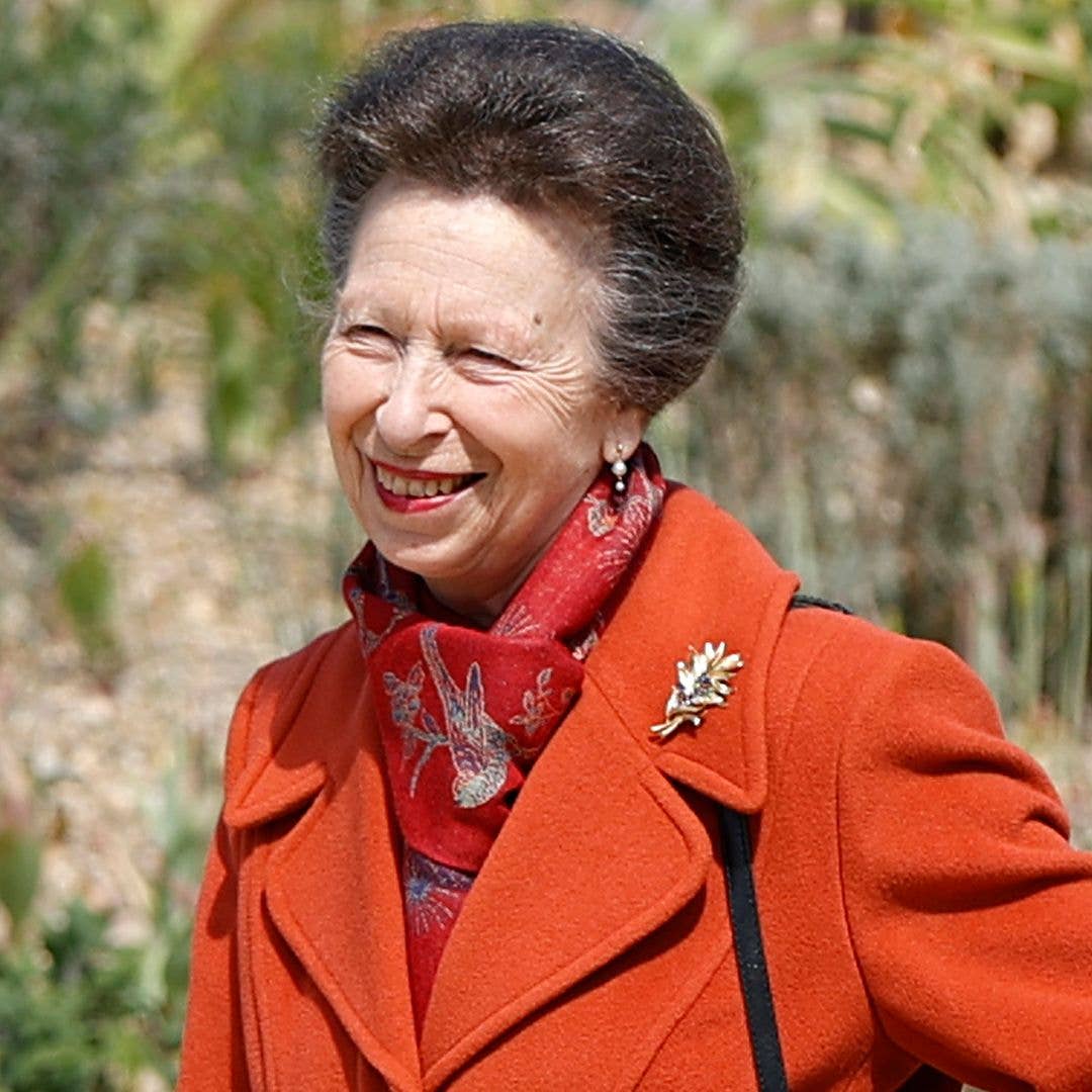 Princess Anne issues personal message to Sir David Attenborough
