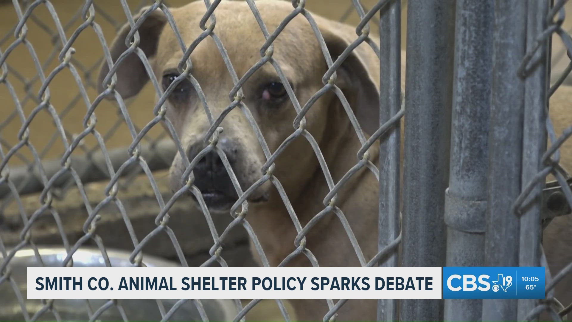 Smith County animal shelter policy changes spark debate with rescue groups