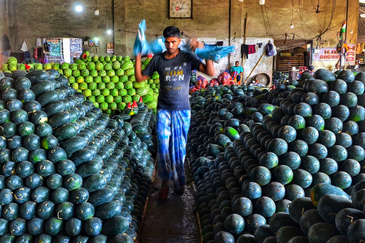 Vendors at Crawford Market and Byculla reported a noticeable drop in demand, with some even seeing customers return previously purchased watermelons. (PTI/Representative Image)