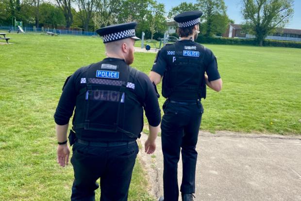 Increased police patrols in Essex town after animals killed with catapults