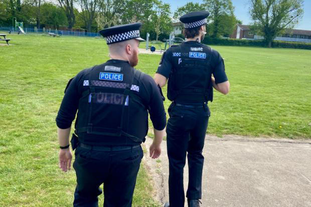 Increased police patrols in Essex town after animals killed with catapults