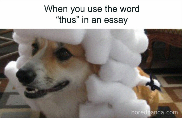 Humor State University: 30 Funny Memes About Life As A Student