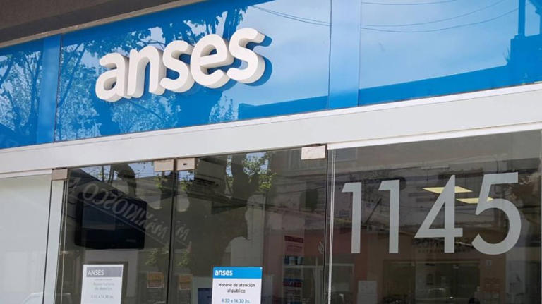 Mi ANSES: habilitaron la consulta y descarga del recibo de haberes para ...