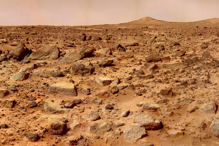 'The Martian' becomes real life: Meet 'Spudnik,' the space potato