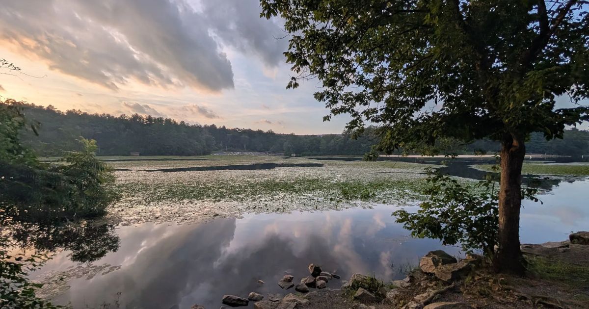 This ice-cold Pennsylvania lake hits just 50 degrees