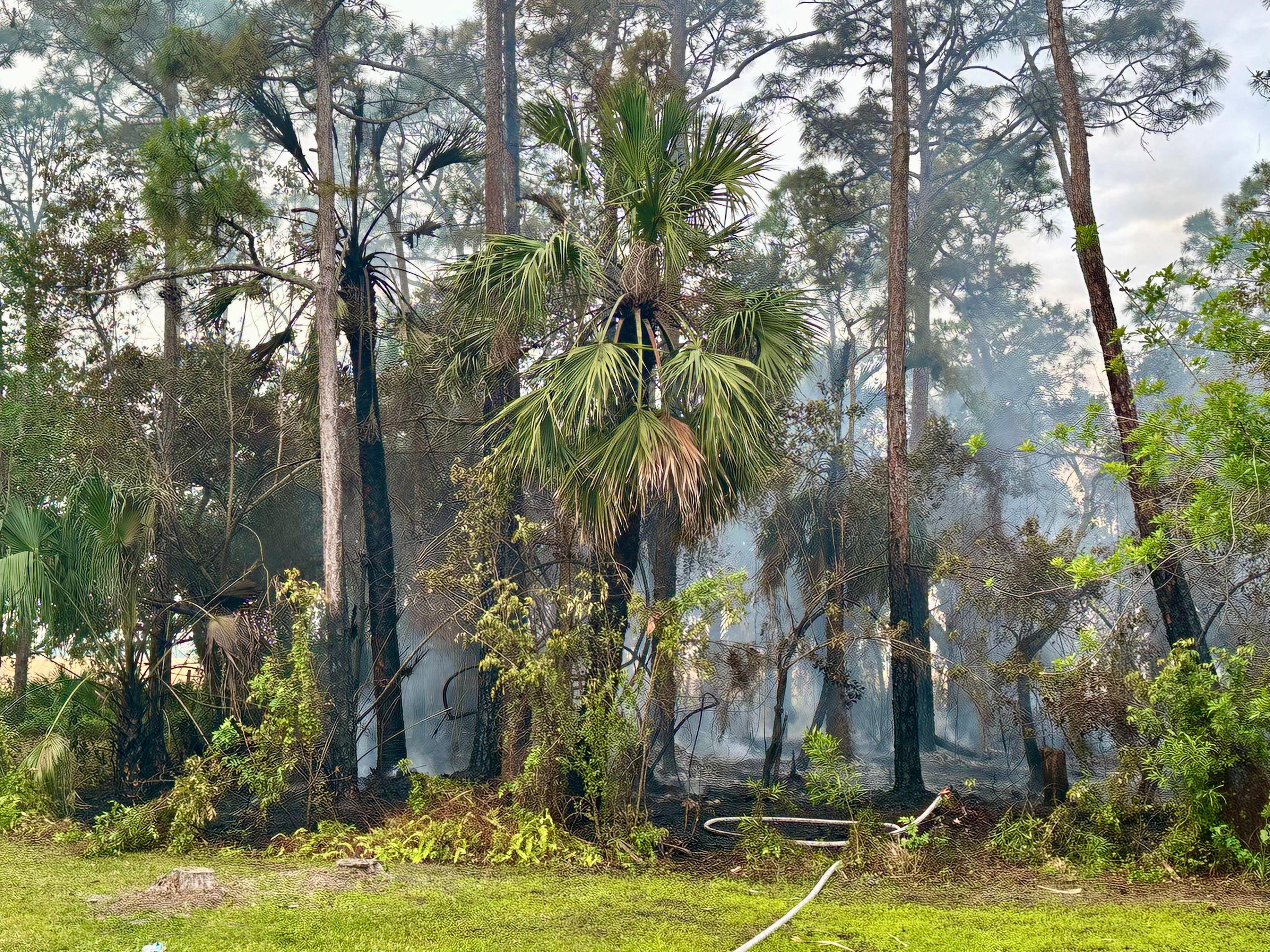 Florida brush fire in residential community after downed power line