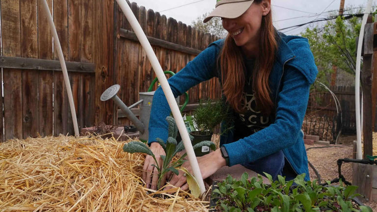 Strategies for growing food with limited water resources amid drought ...
