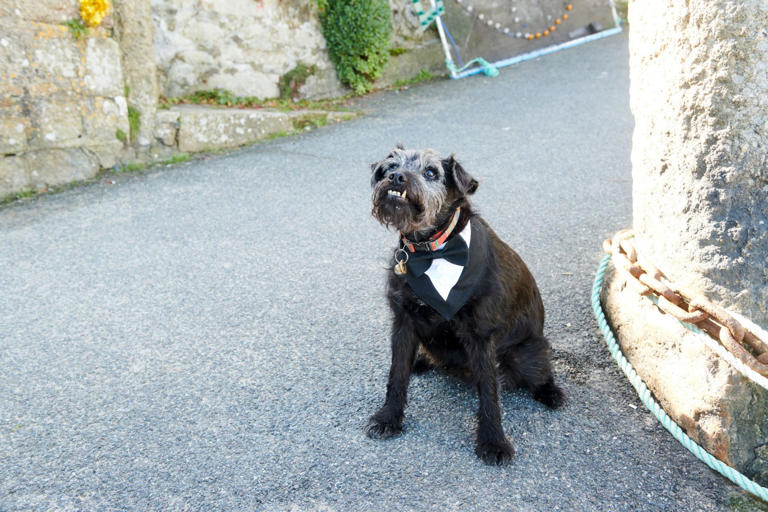Bob Mortimer and Paul Whitehouse pay tribute after superstar Gone ...