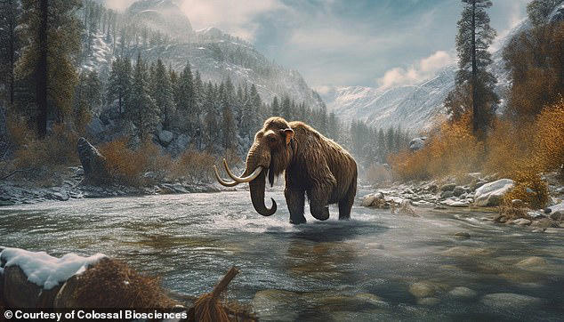 Company attempting to bring back the woolly mammoth reveals plan to 'de ...