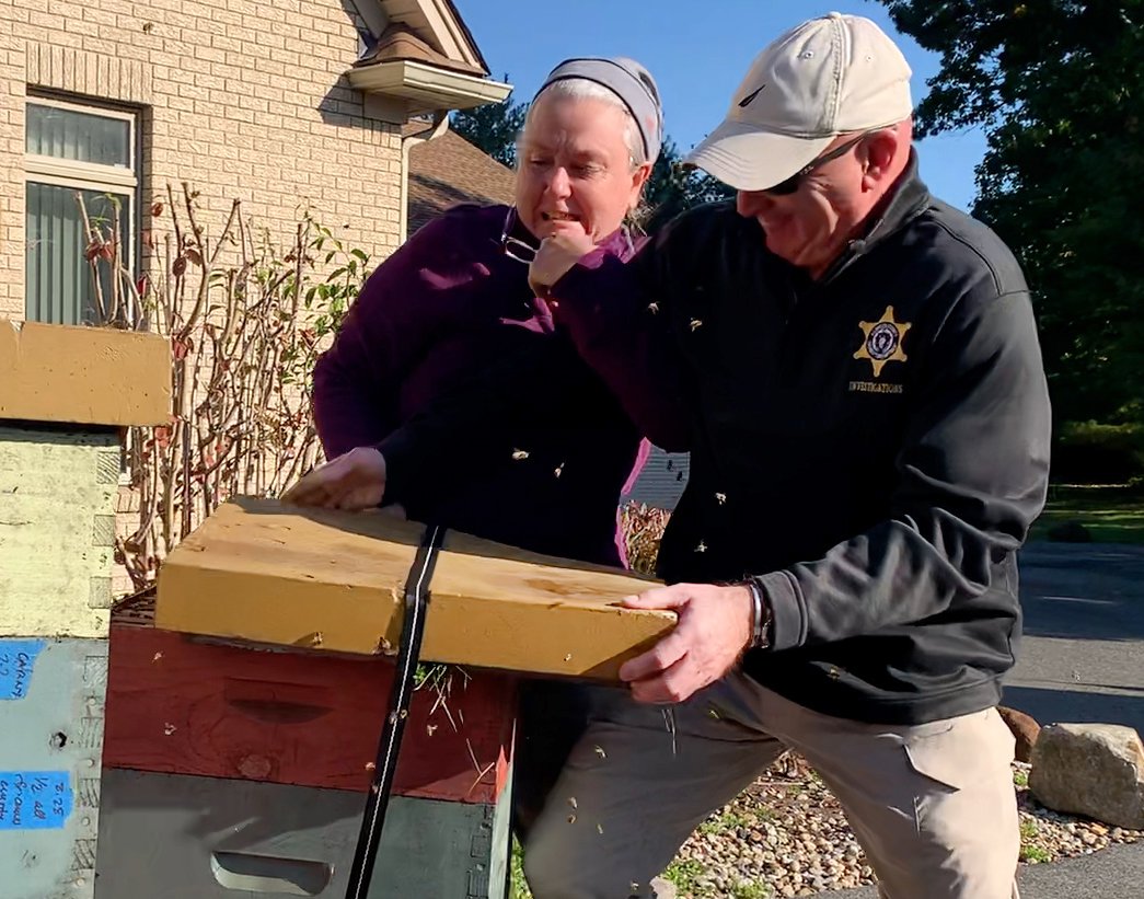 Woman unleashes swarm of bees on police to protect friend from eviction