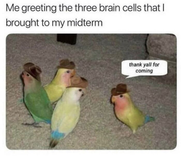 Humor State University: 30 Funny Memes About Life As A Student