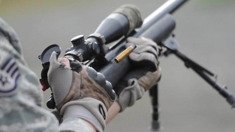 The iconic Remington 700: How this legendary rifle defined precision ...