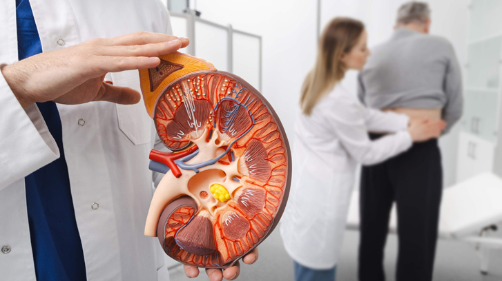 'Thủ phạm' khiến người ăn uống thanh đạm vẫn suy thận