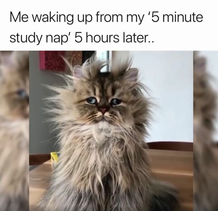 Humor State University: 30 Funny Memes About Life As A Student