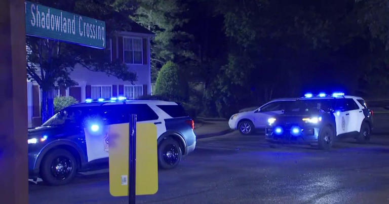 Man arrested after stabbing in Raleigh