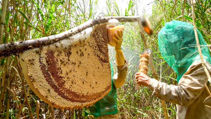 Cà Mau phê duyệt phát triển du lịch sinh thái U Minh Hạ hơn 1.300ha