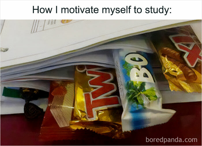 Humor State University: 30 Funny Memes About Life As A Student